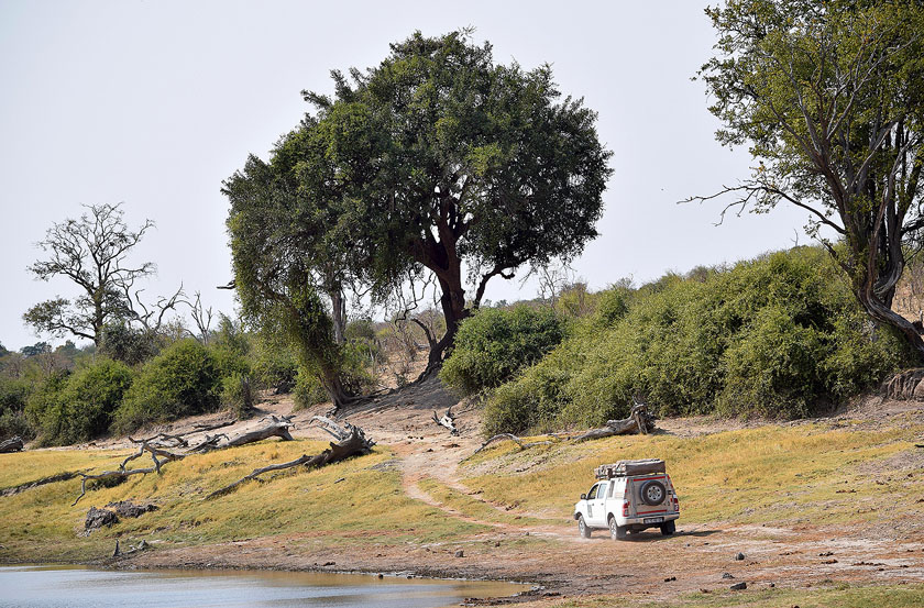 Piste de Chobe River