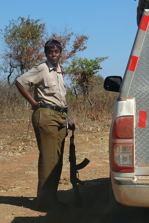 Ranger du Hwange National Park