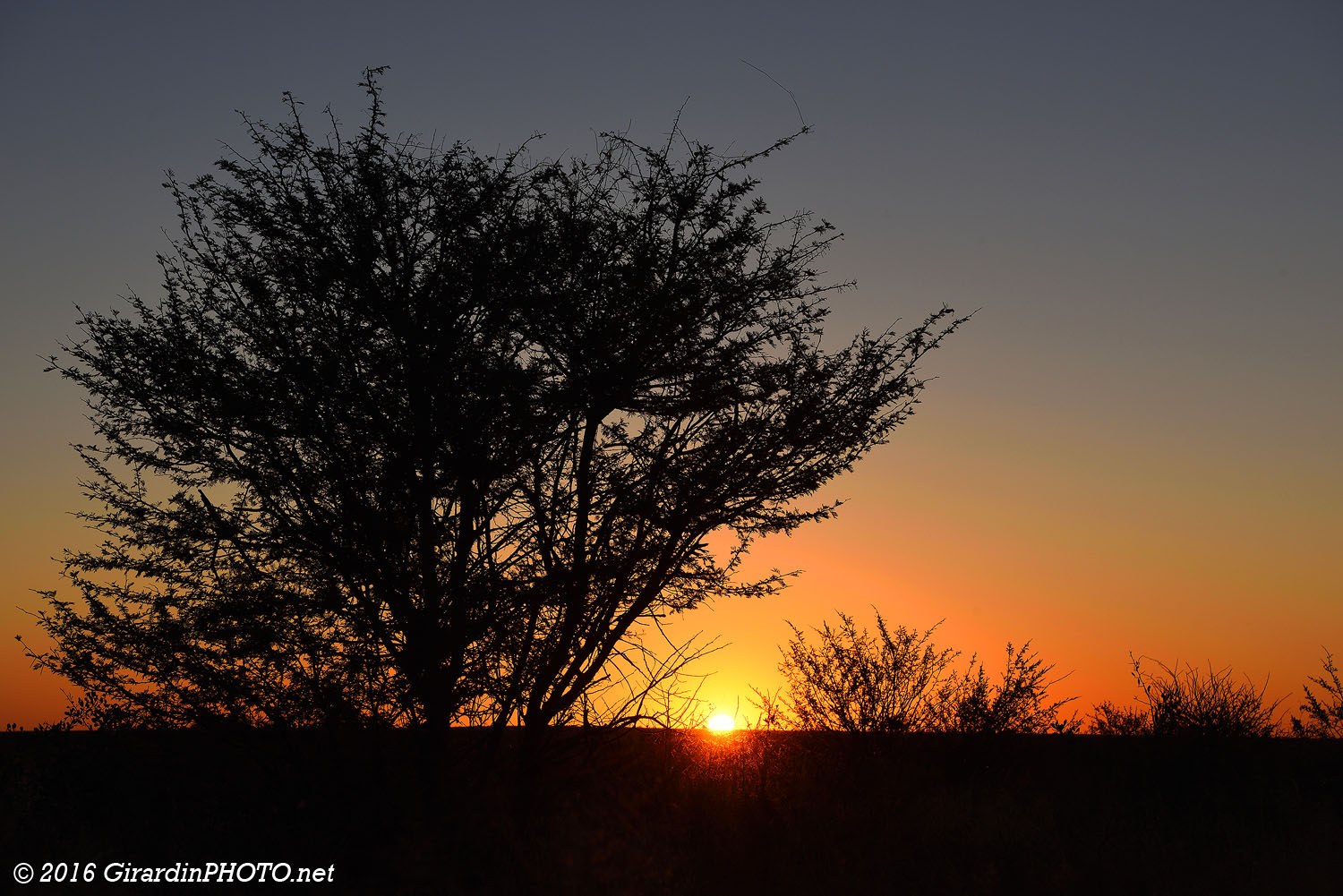 Coucher de soleil sur la savane