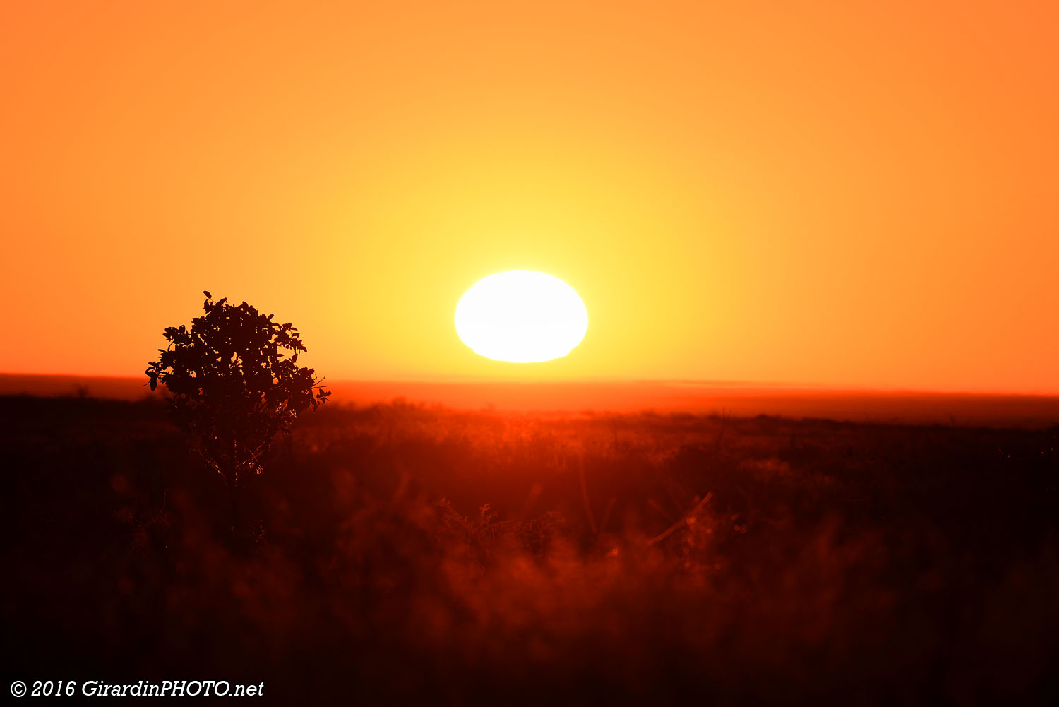 Lever de soleil sur la savane