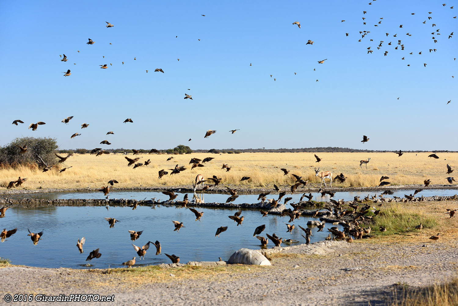 Arrivée à Piper Pan Waterhole