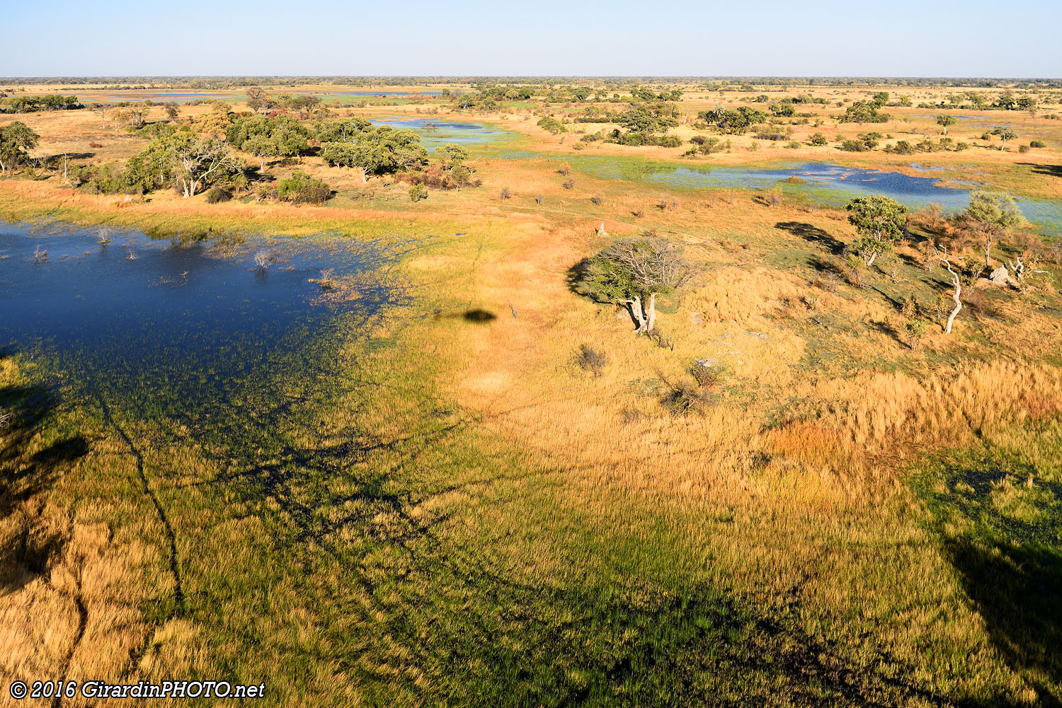 Delta de l'Okavango