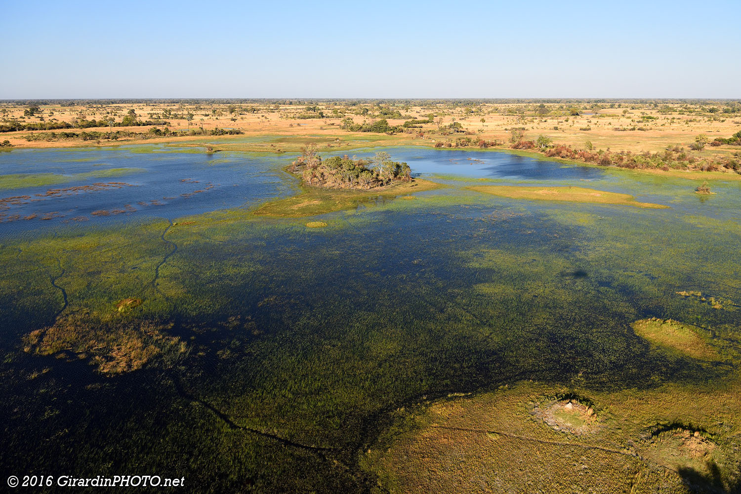 Delta de l'Okavango