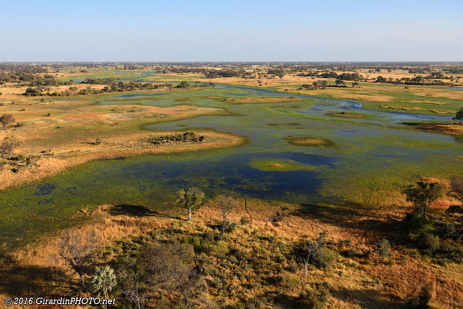 Delta de l'Okavango