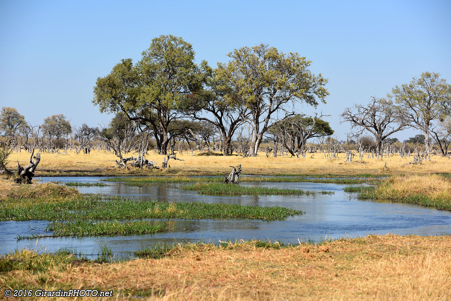 Khwai River (en face, c'est la réserve de Moremi)
