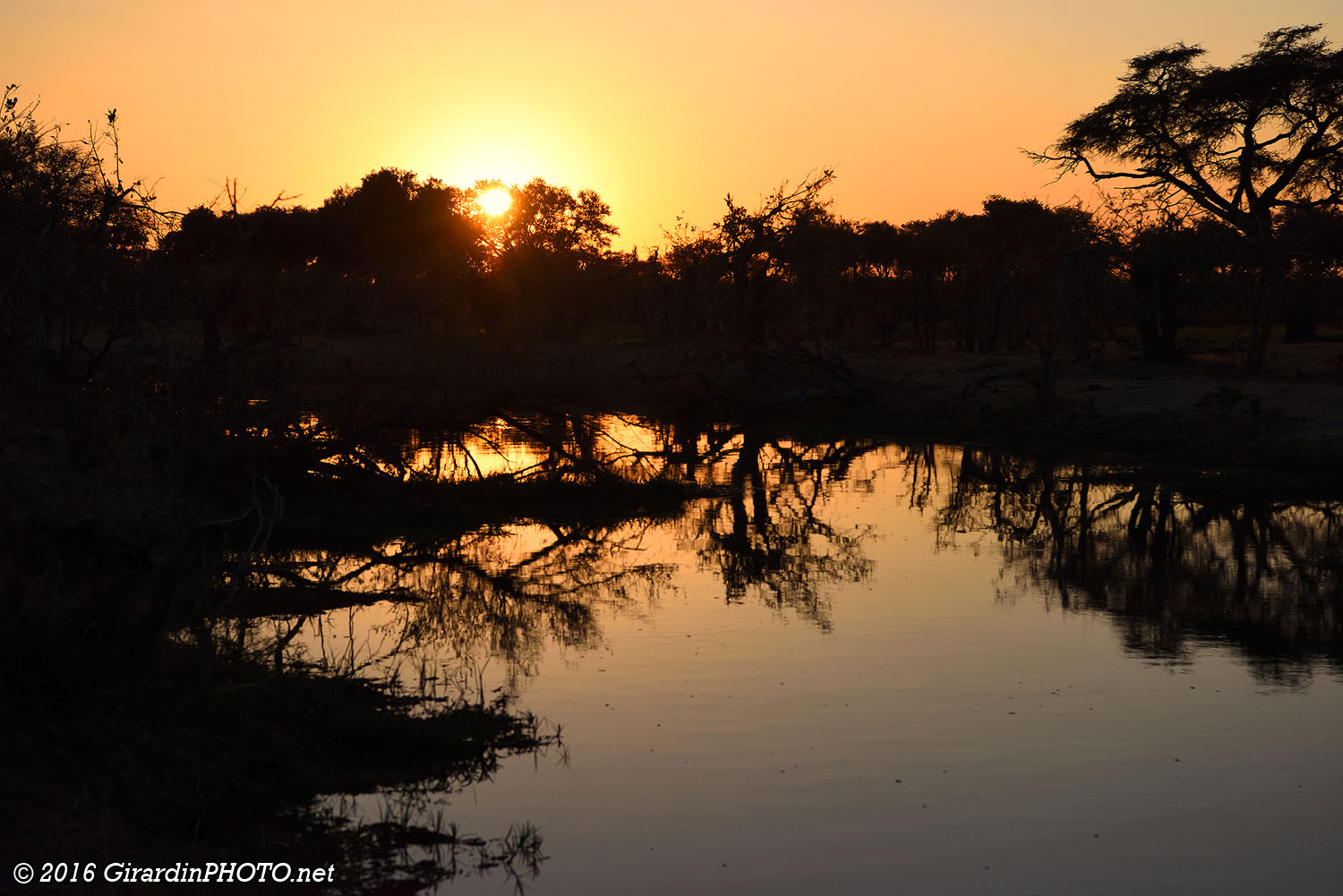 Lever de soleil sur la Khwai River