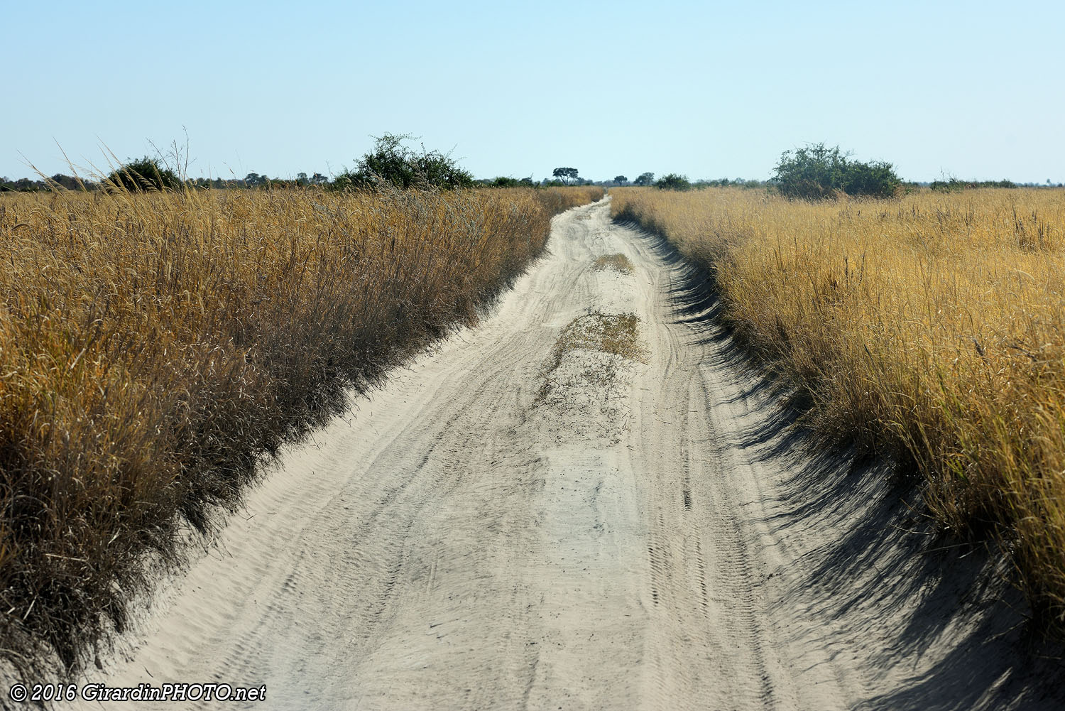 Piste qui mène à Savute Marsh