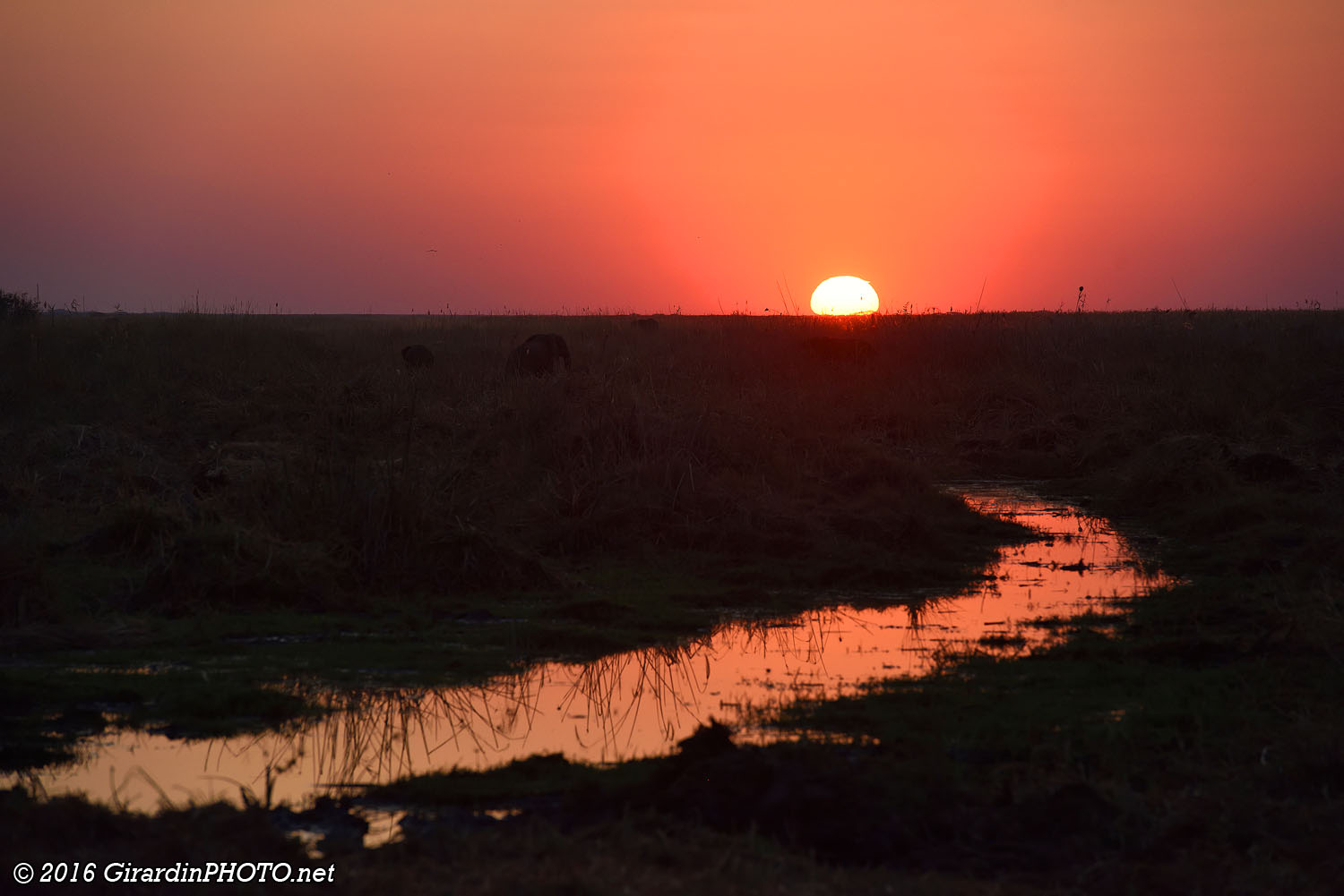 Couché de soleil sur la plaine