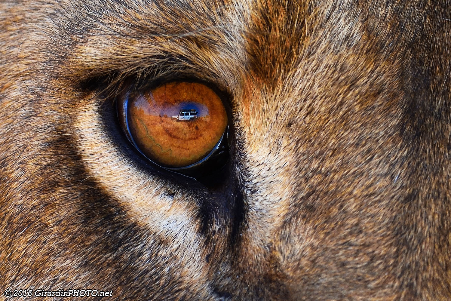 Notre Landy au plus profond du regard !