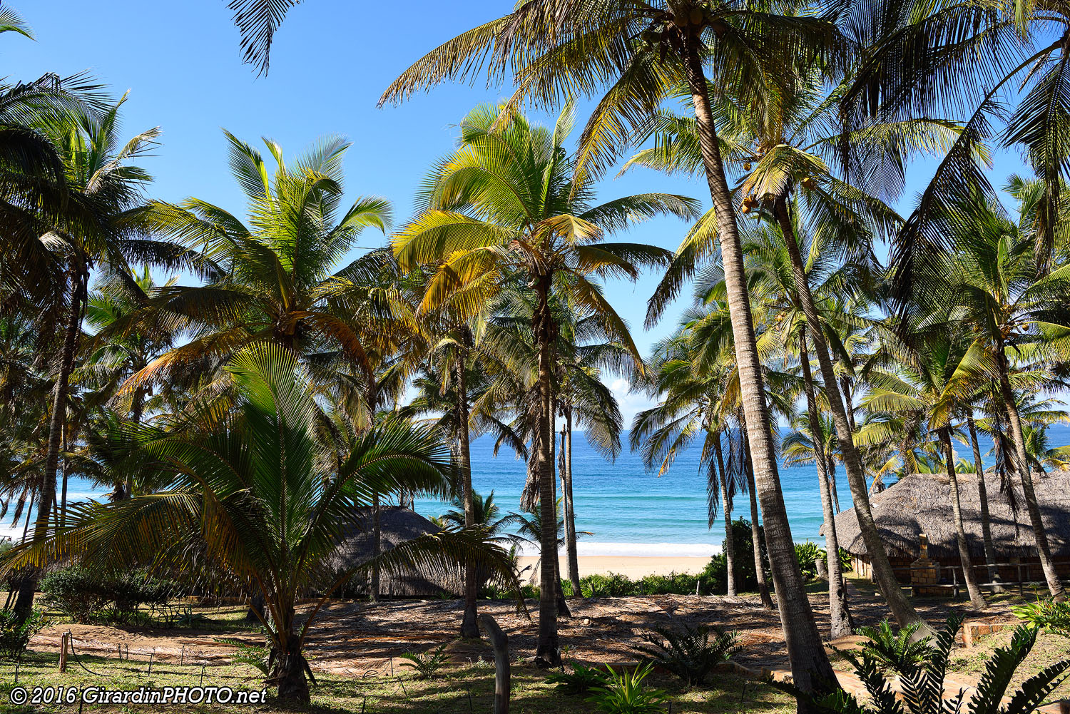 Un p'tit coin de paradis