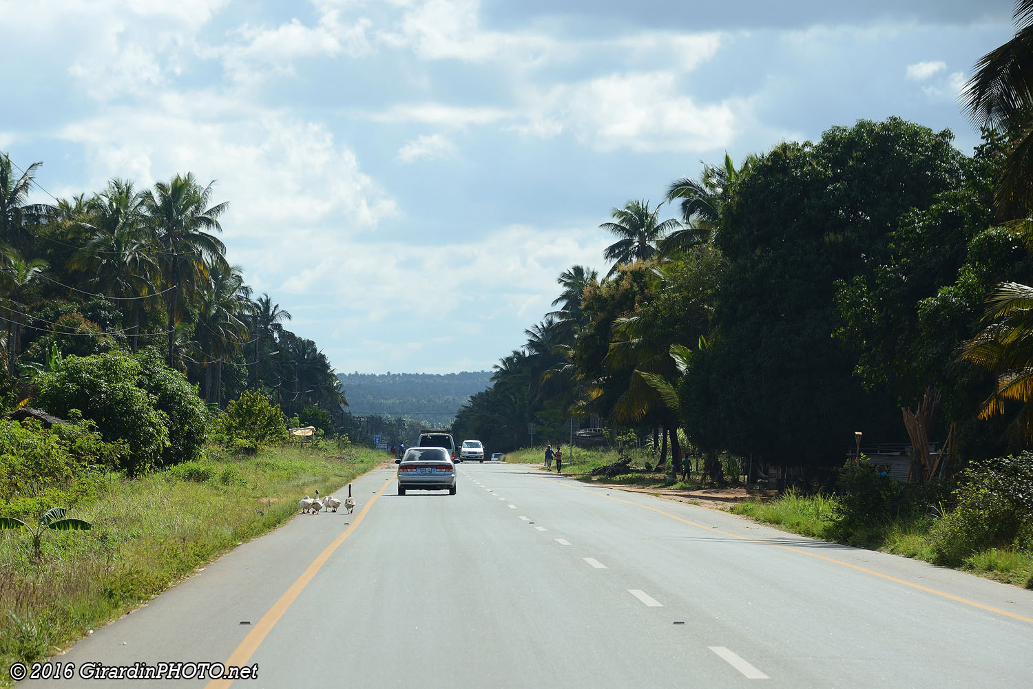 Route principale