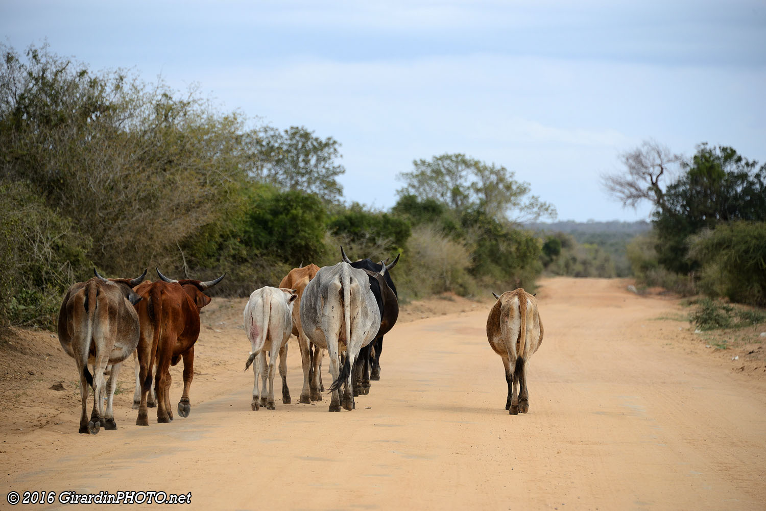 Usagers de la route