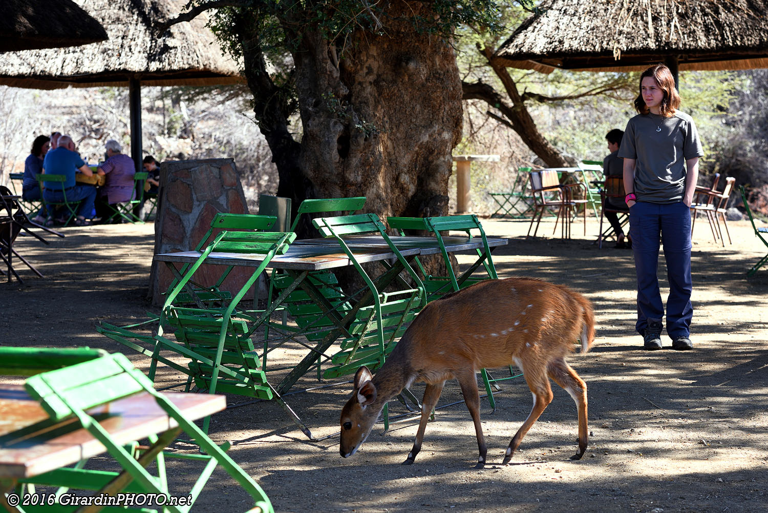 Timbavati Picnic Site