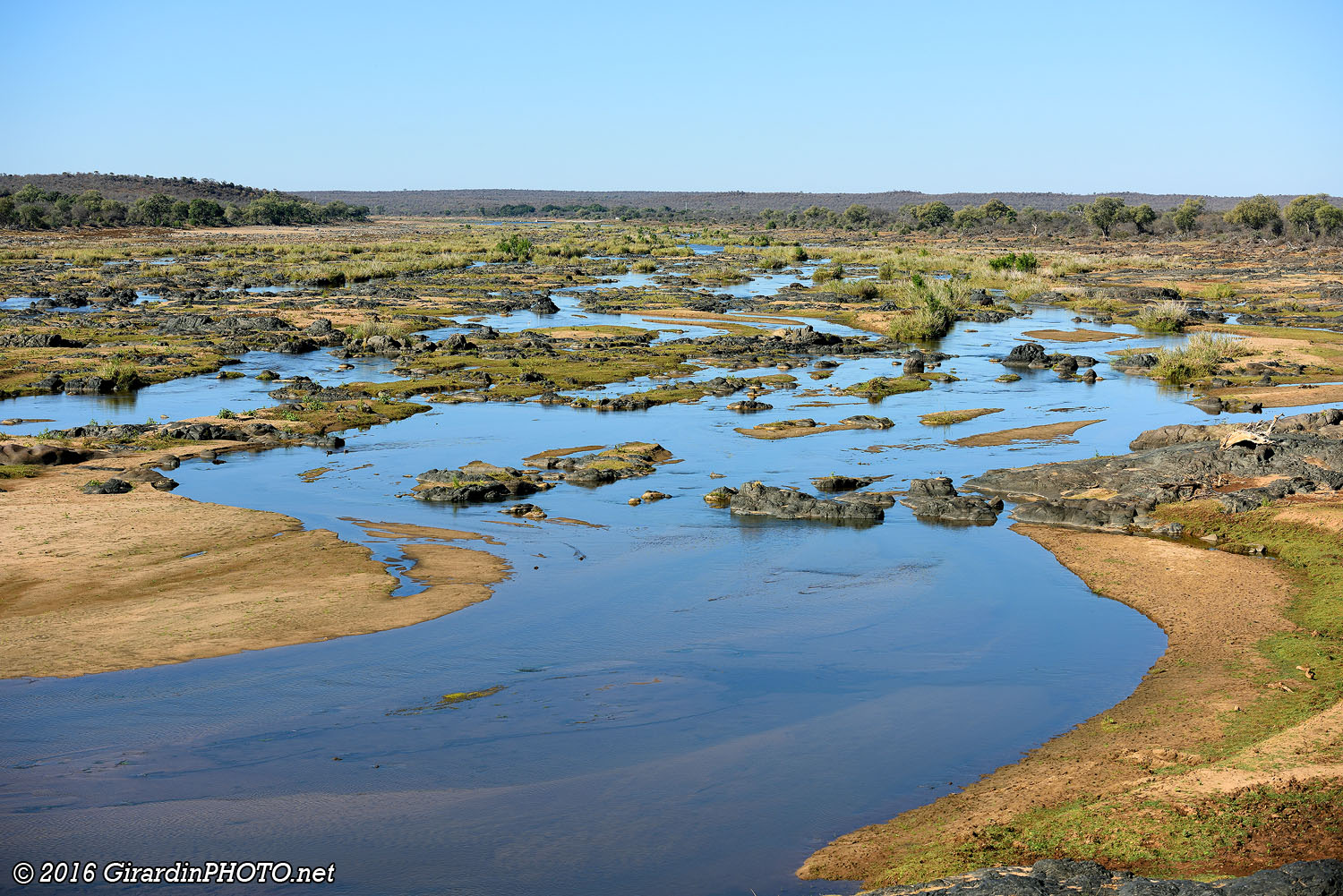 Animaux au bord d'Olifants River