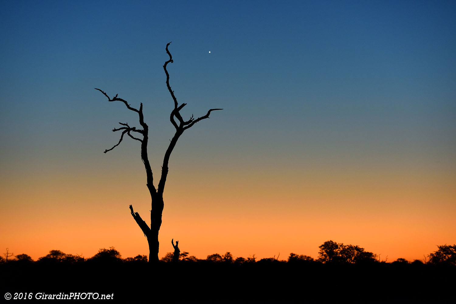 Crépuscule avec Venus