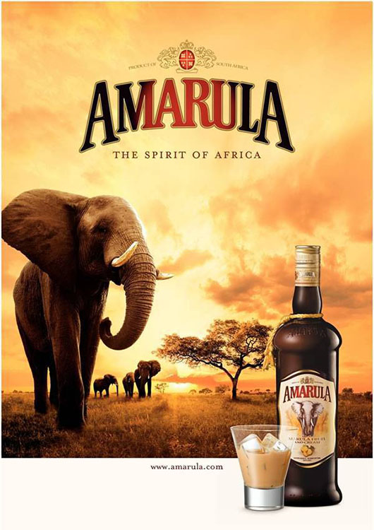 The Amarula Lapa is the hospitality centre for the now world-famous Spirit of Africa