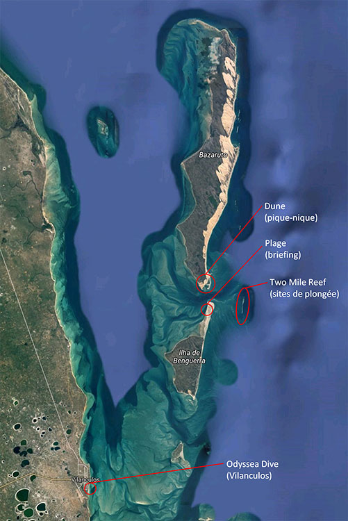 Plongées avec Odyssea Dive