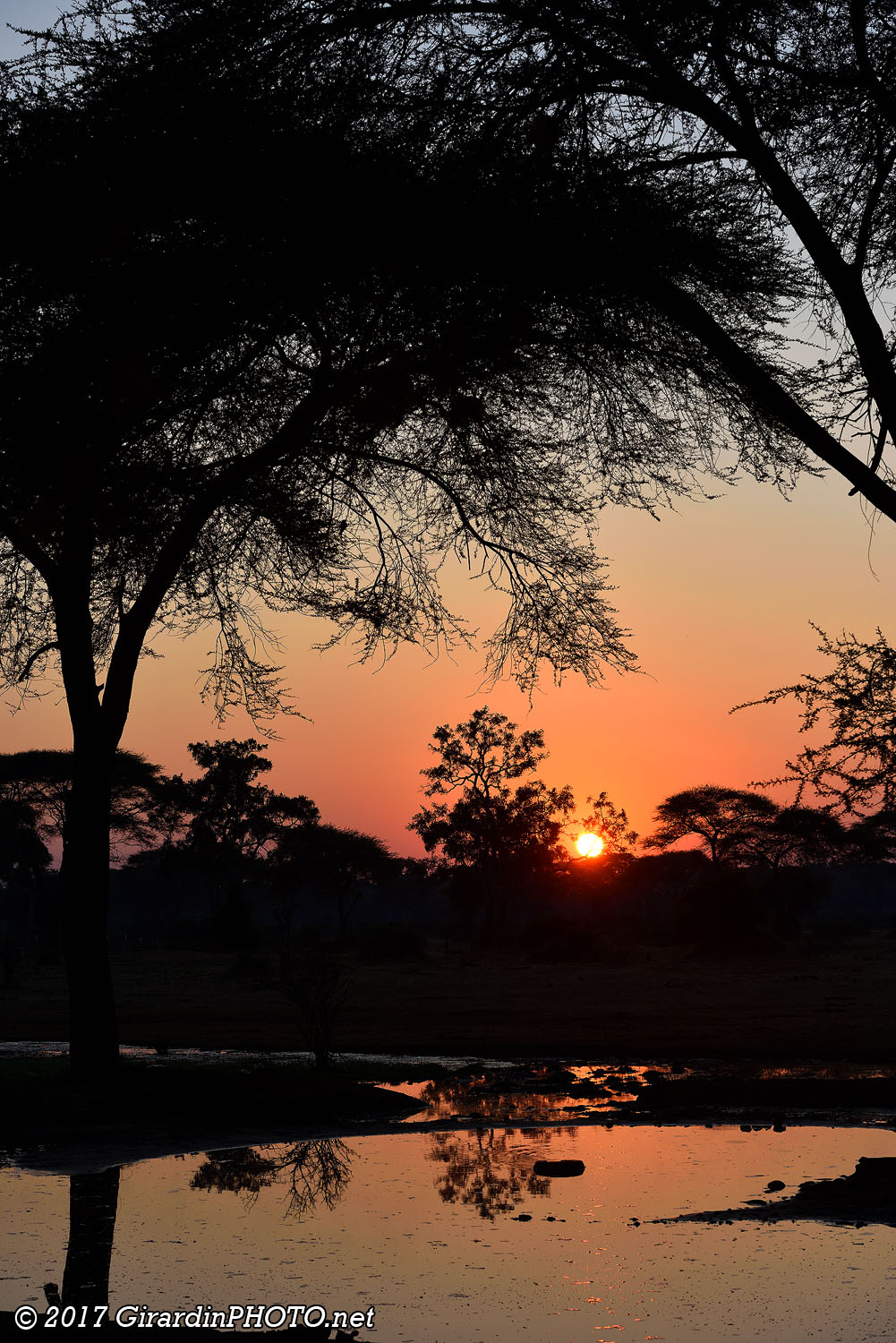 Lever de soleil sur le point d'eau