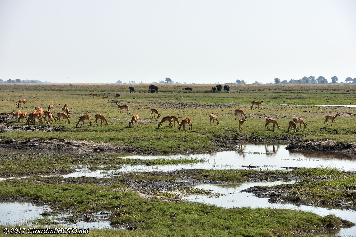 Arrivée au bord de la Chobe River