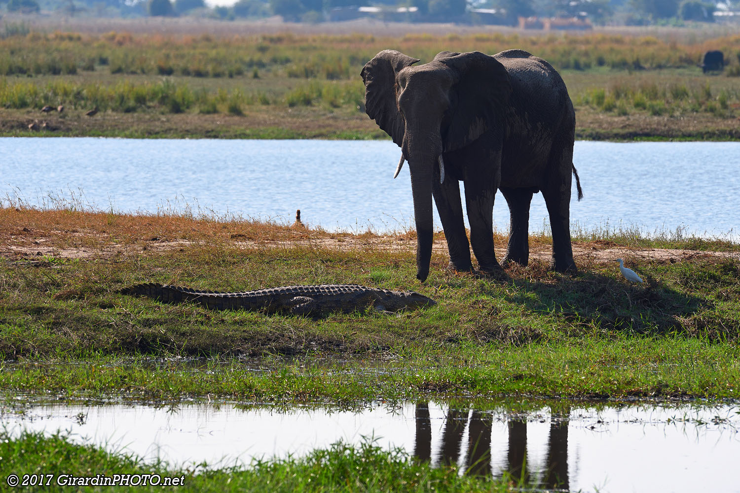 Vie courante le long de la Chobe River