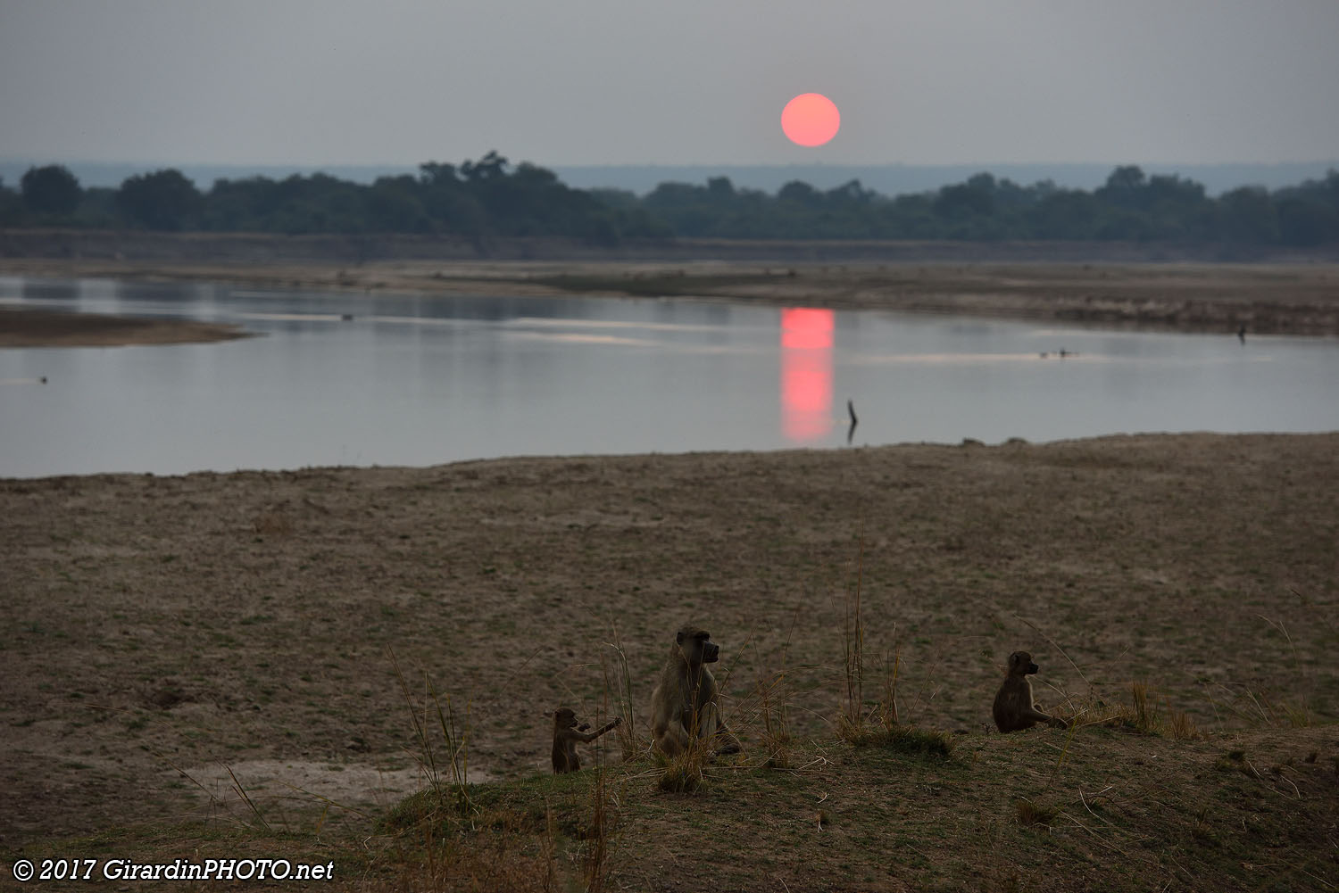 Coucher de soleil sur la Luangwa River