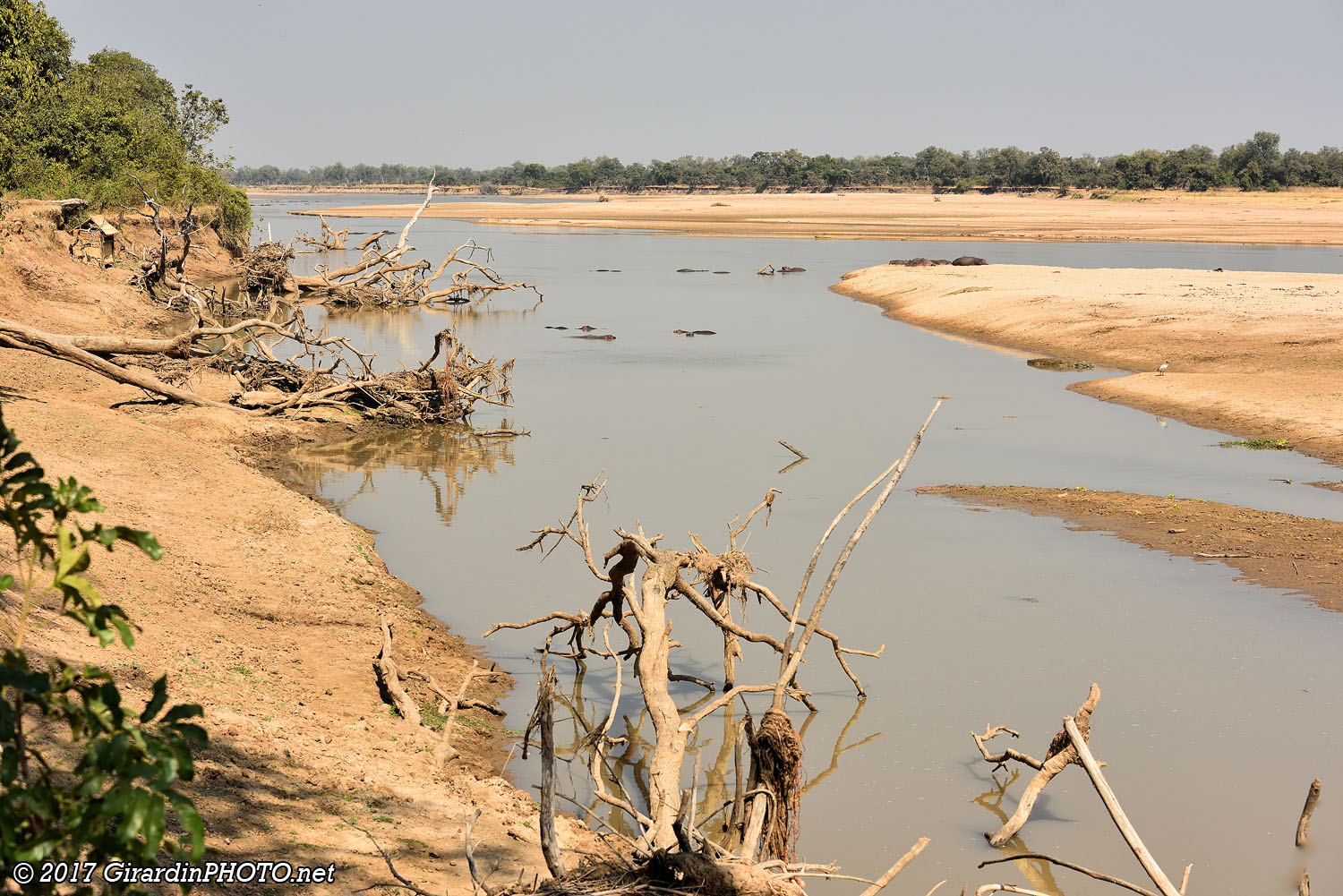 Luangwa River
