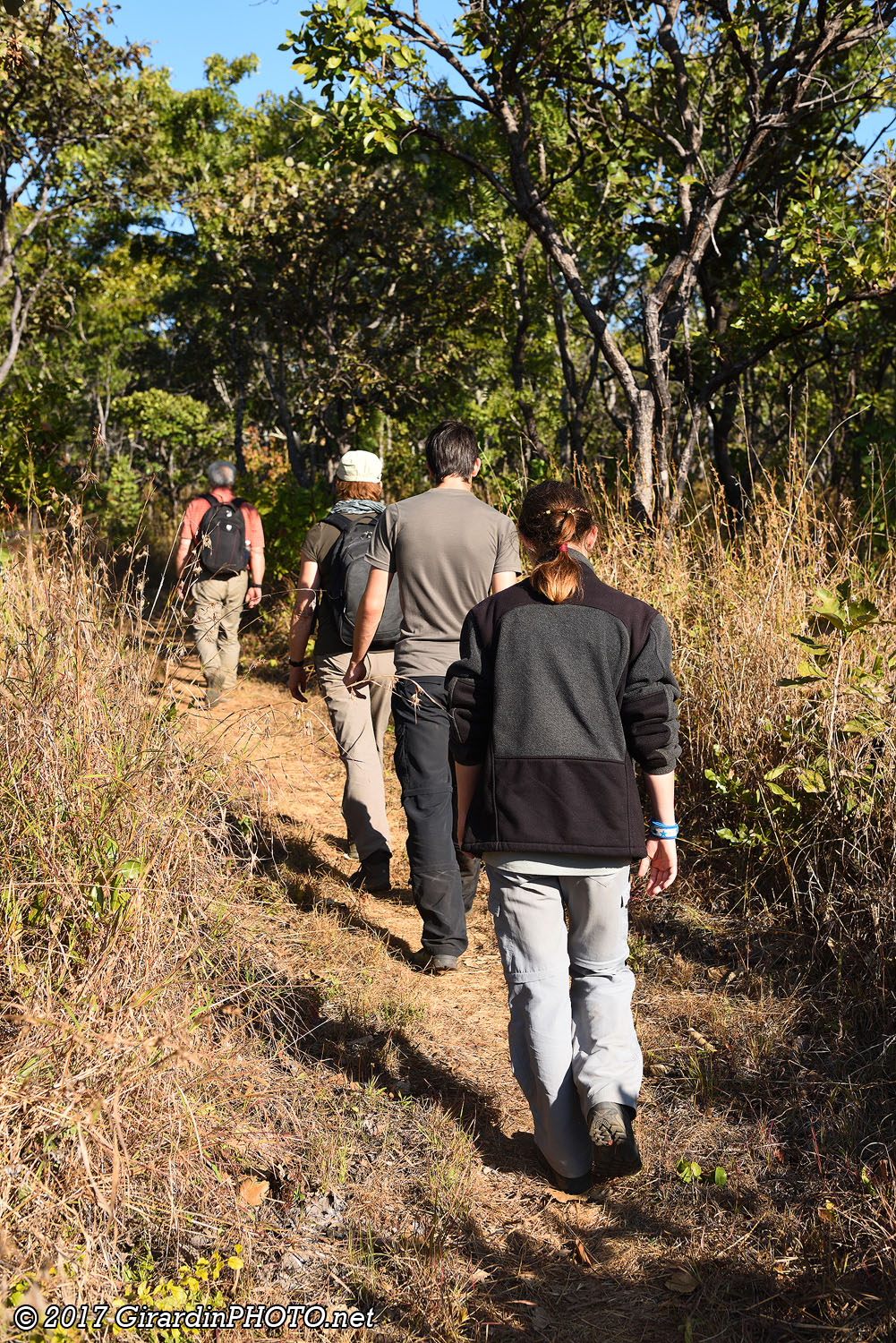 Sentier pour rejoindre Mayense