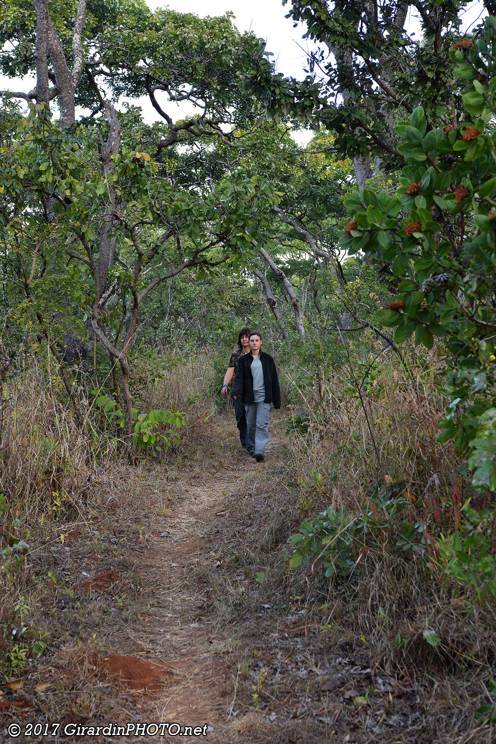 Chemin du retour