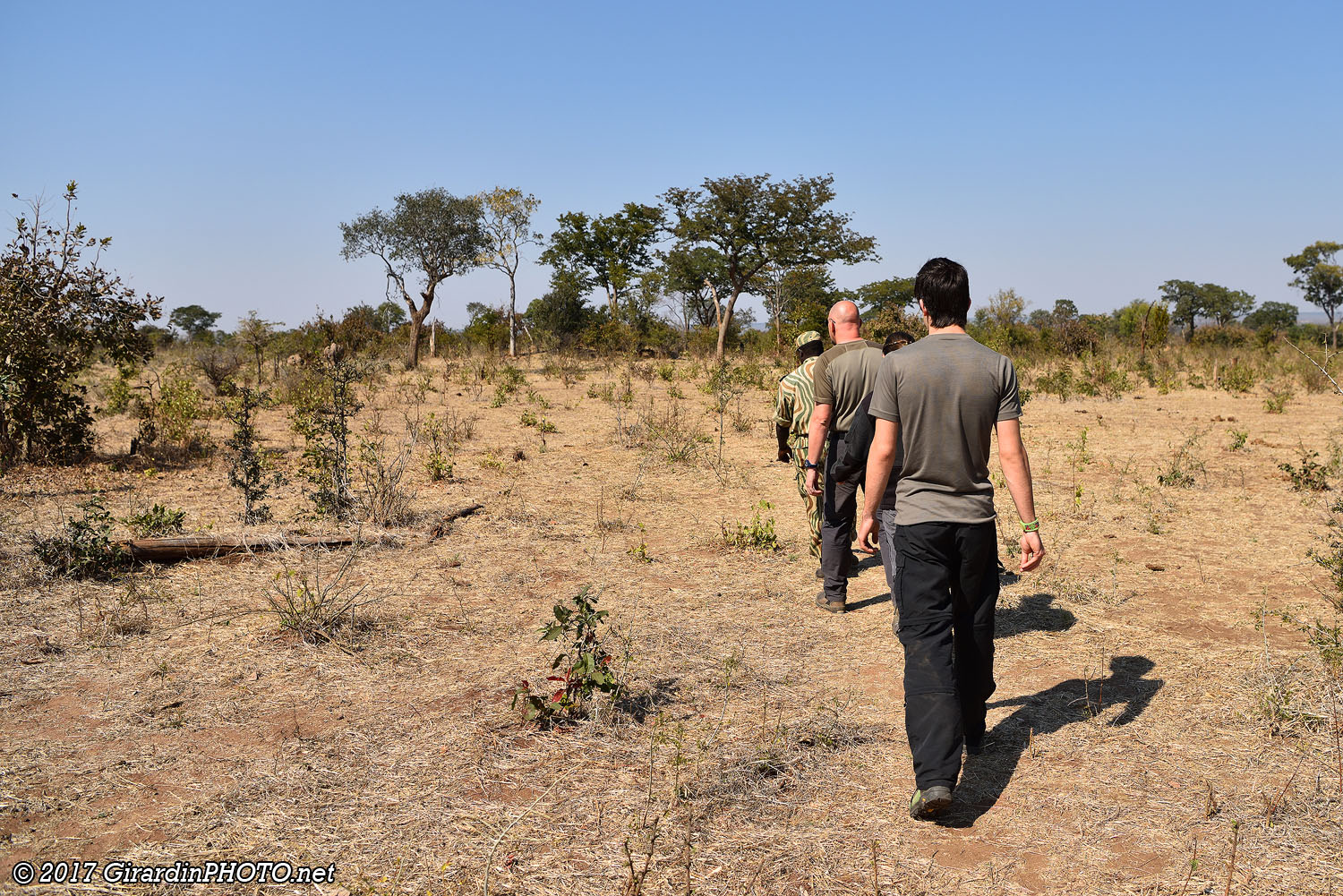 A la recherche des rhinos