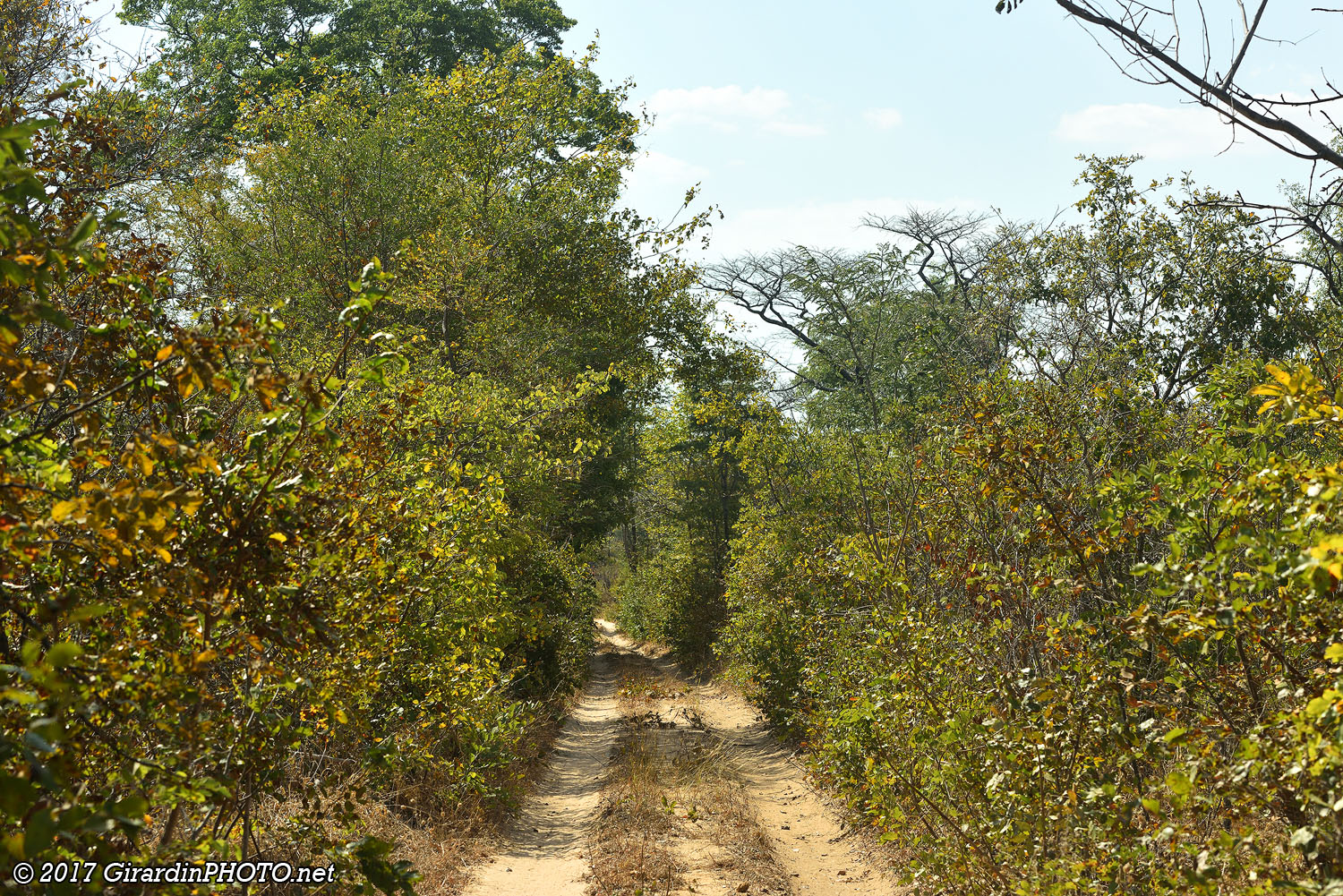 Piste du Sud Kafue