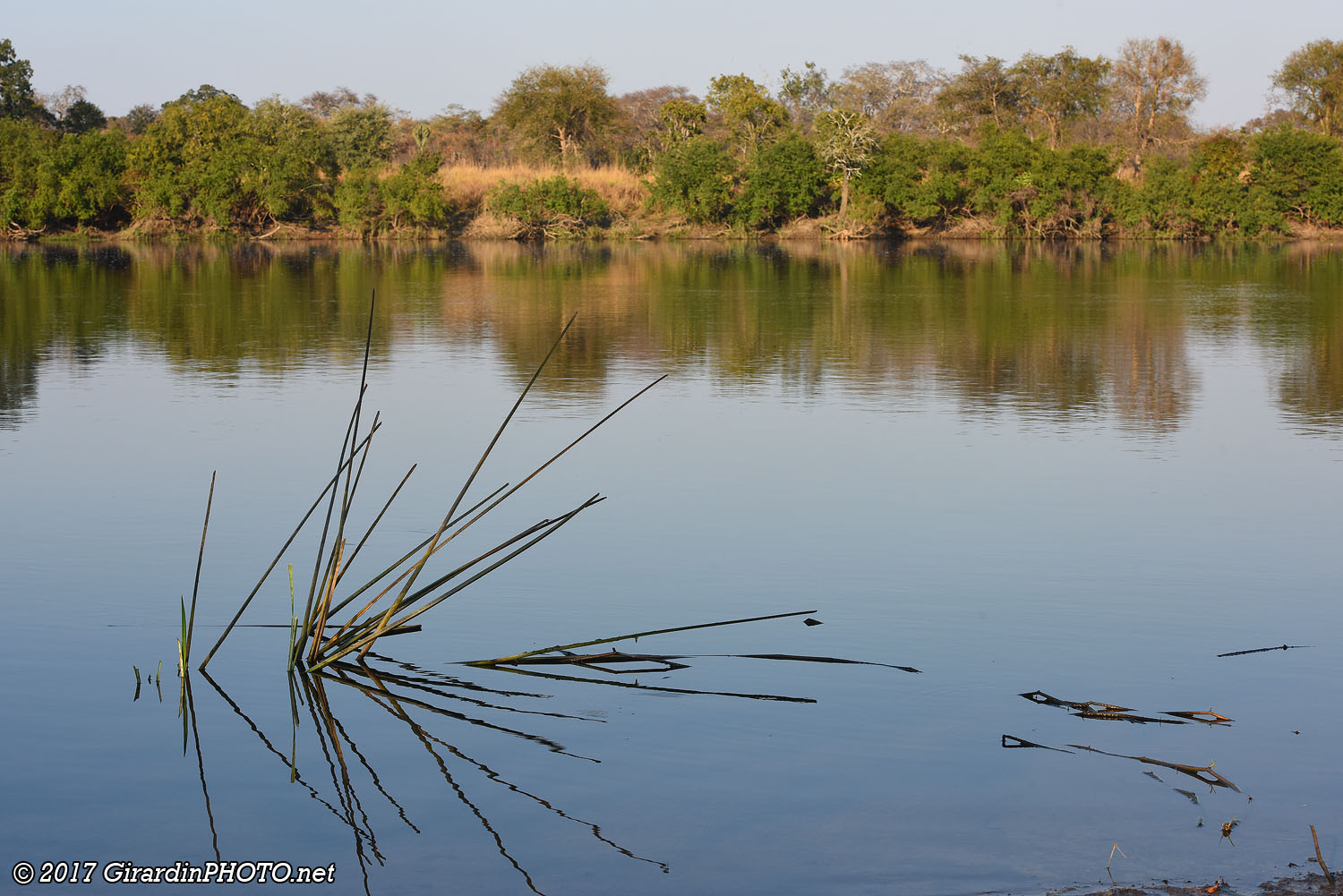 Kafue River au matin