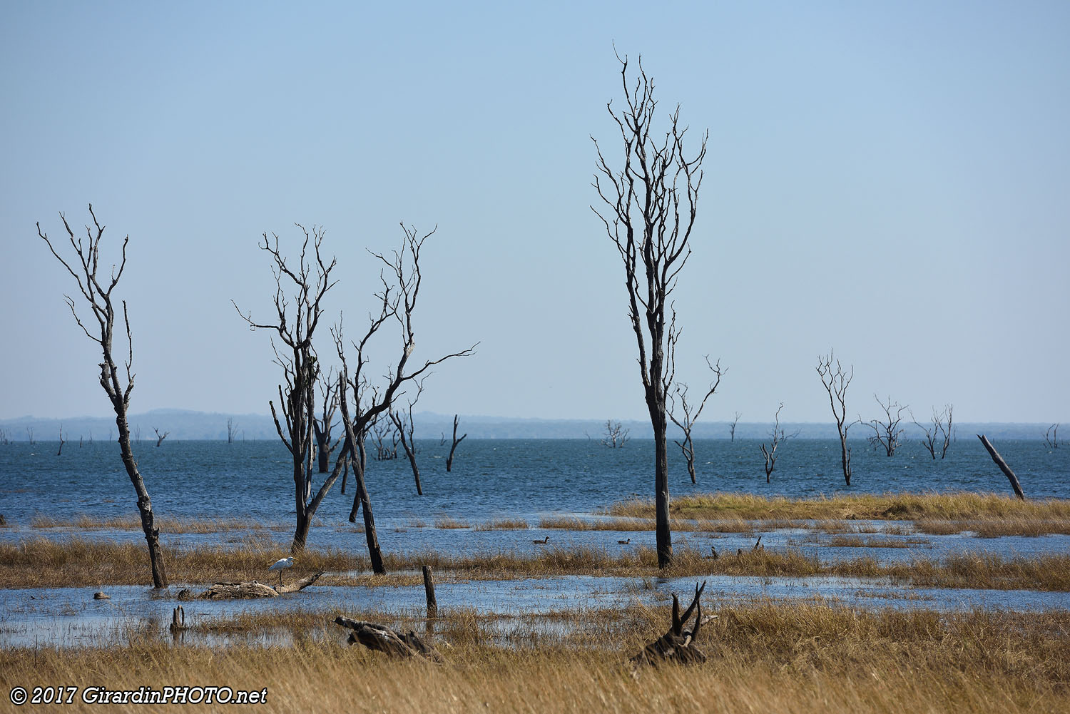 Arbres morts au Lake Itezhi-Tezhi