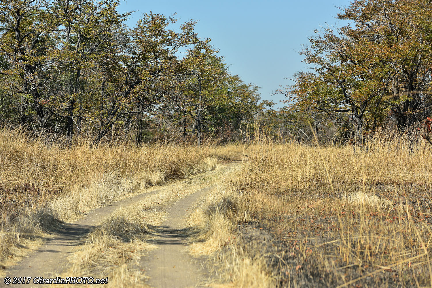 Piste en direction de Dundumwezi Gate