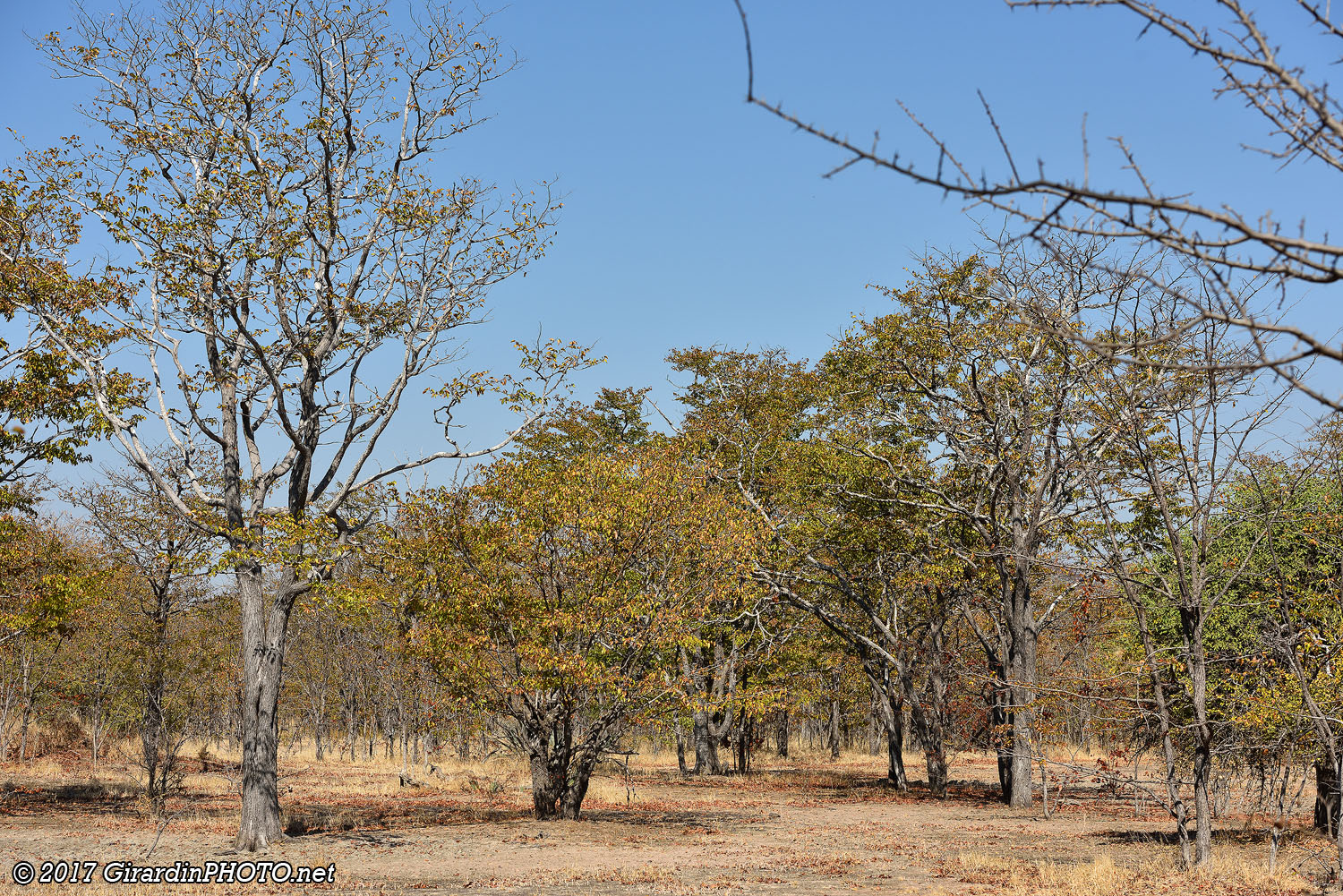 Paysage du Sud Kafue