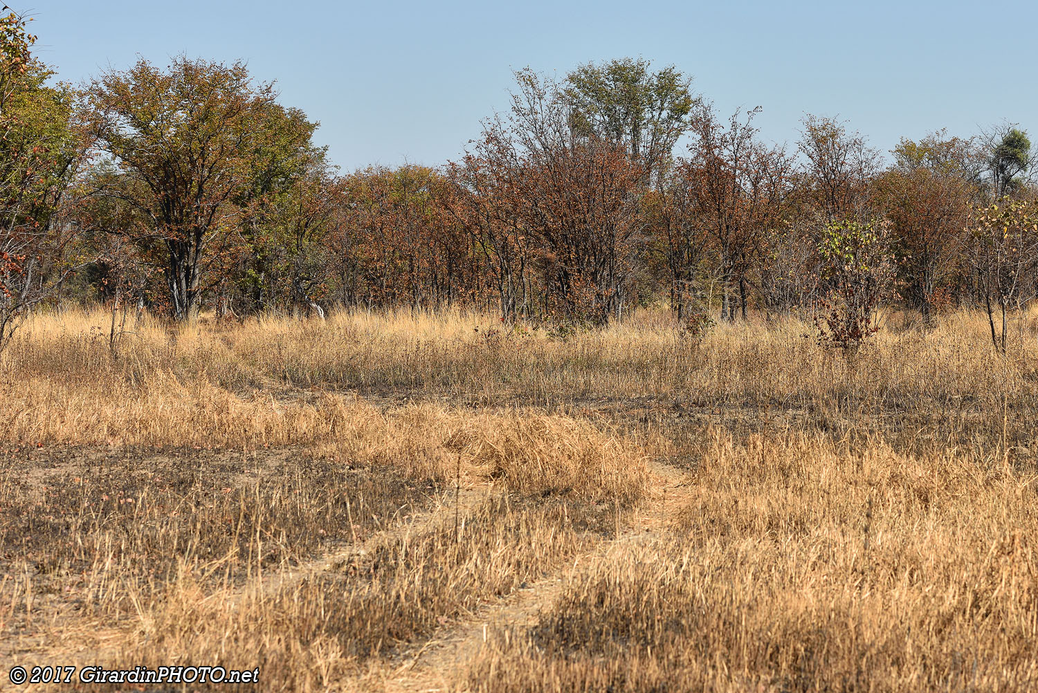 Piste en direction de Dundumwezi Gate
