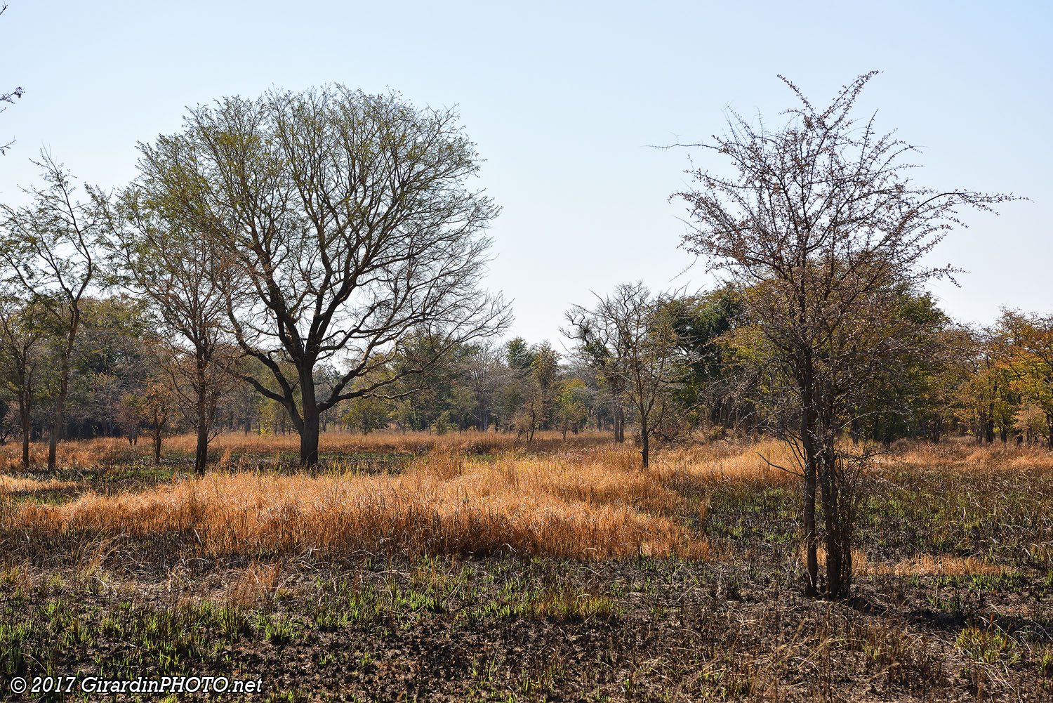 Paysage du Sud Kafue