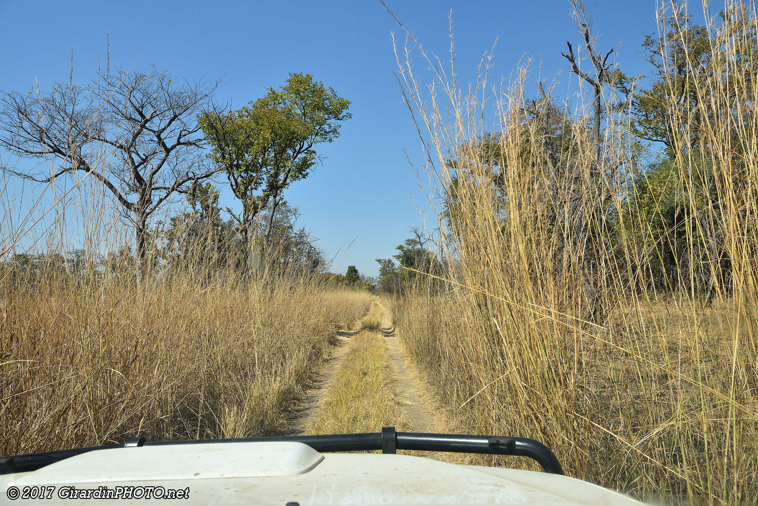Piste en direction de Dundumwezi Gate