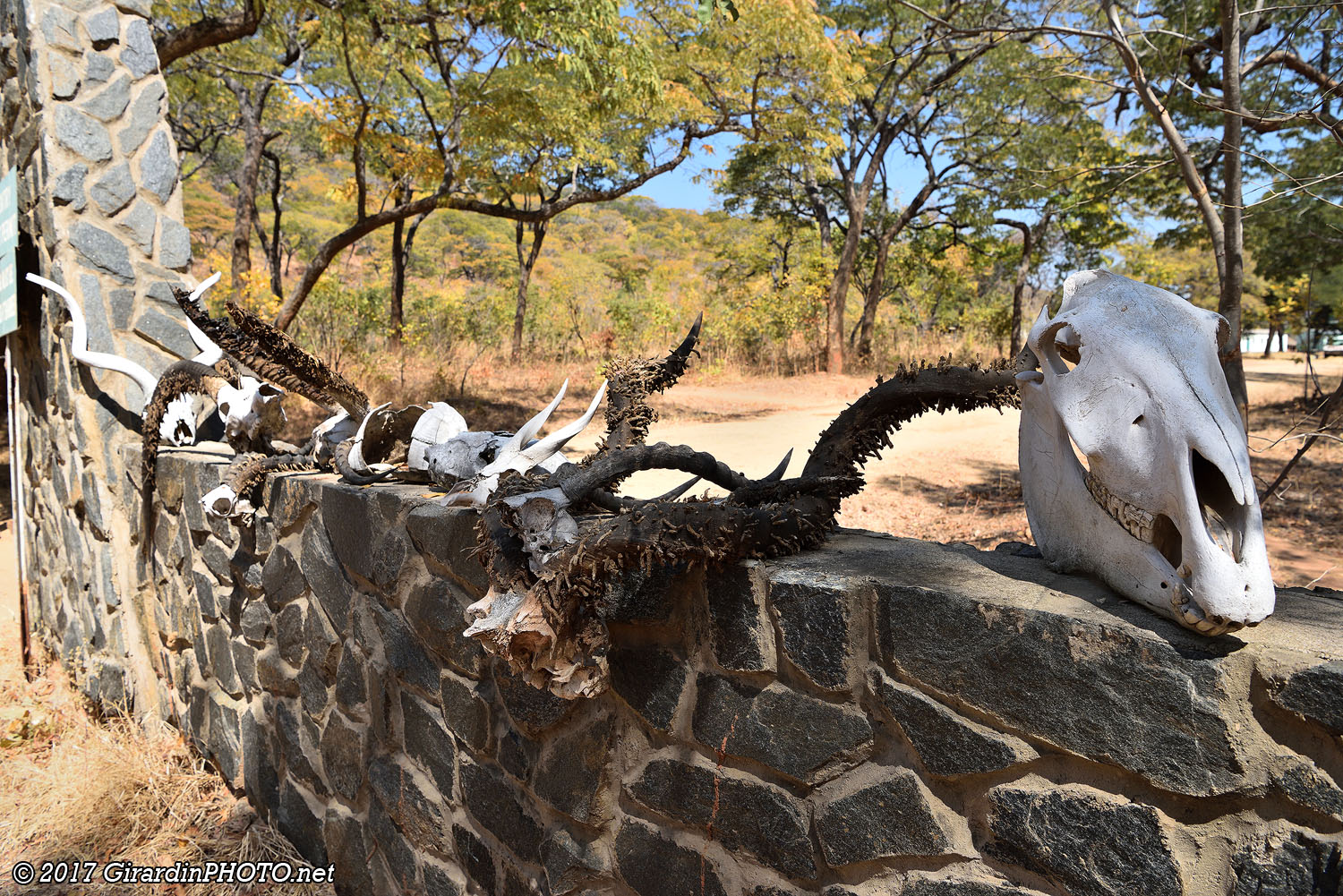 Dundumwezi Gate