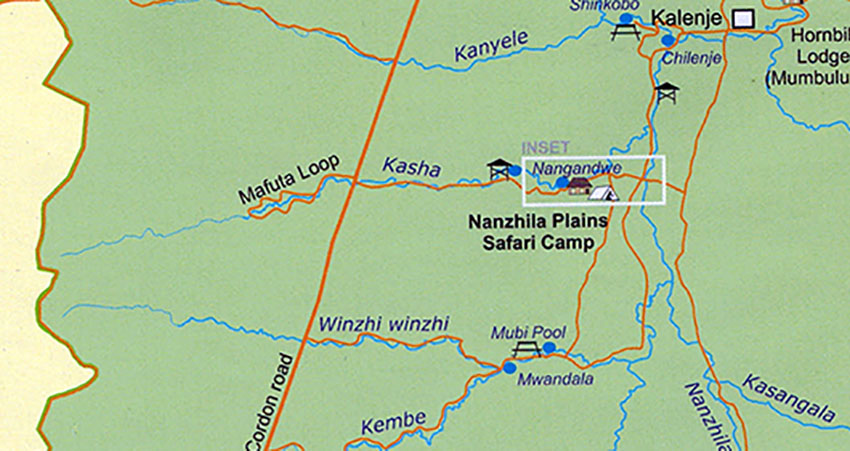 Excursions près de Nanzhila Plains Safari Camp