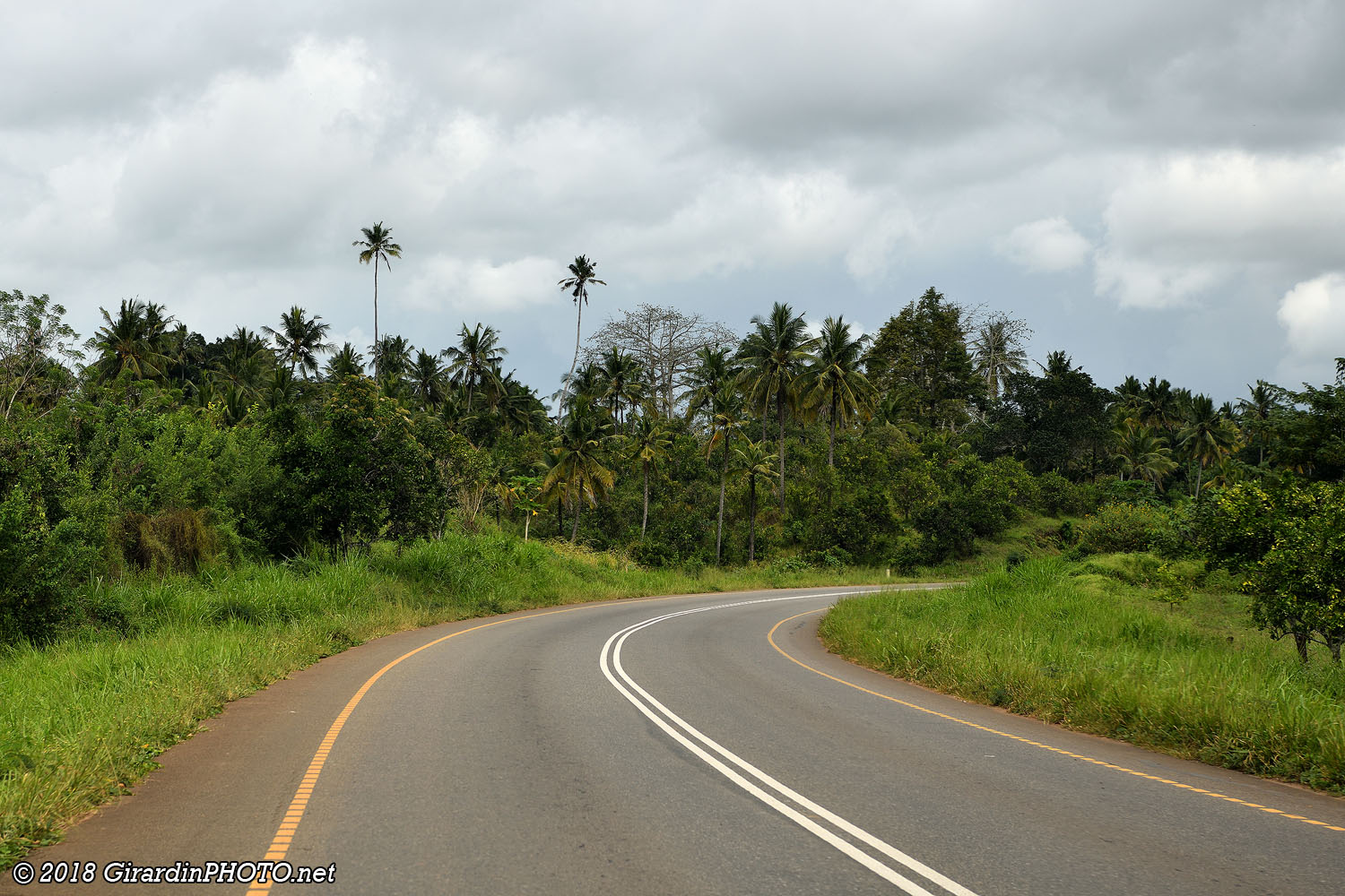 Nous sommes seuls sur la route