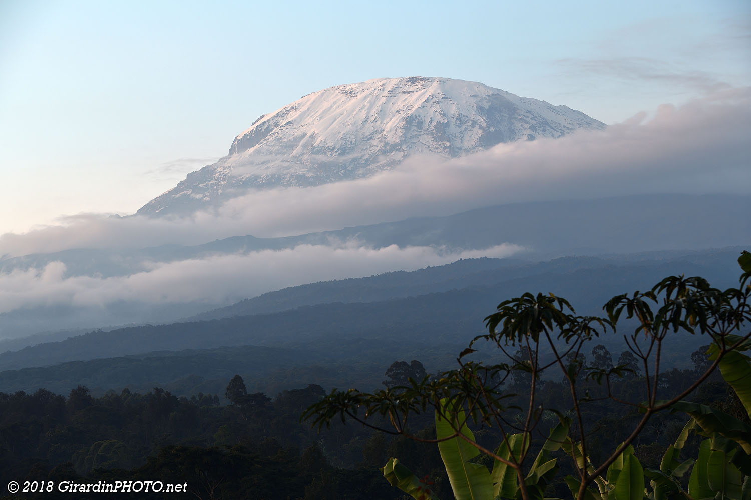 Au pied du Kilimandjaro