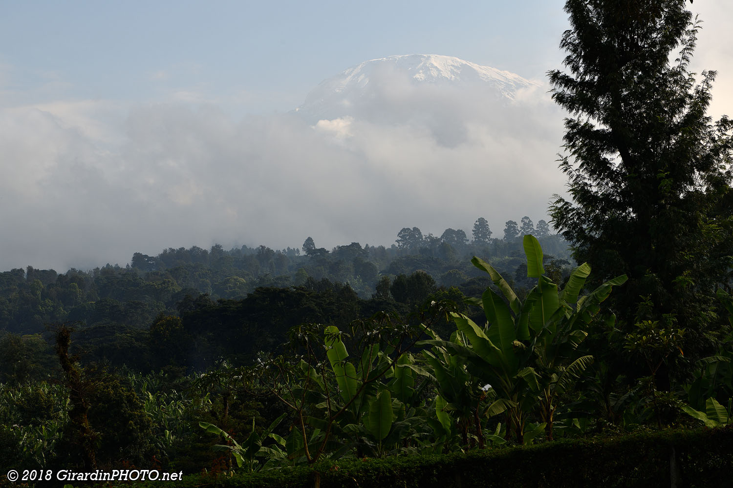 Kilimandjaro au petit matin
