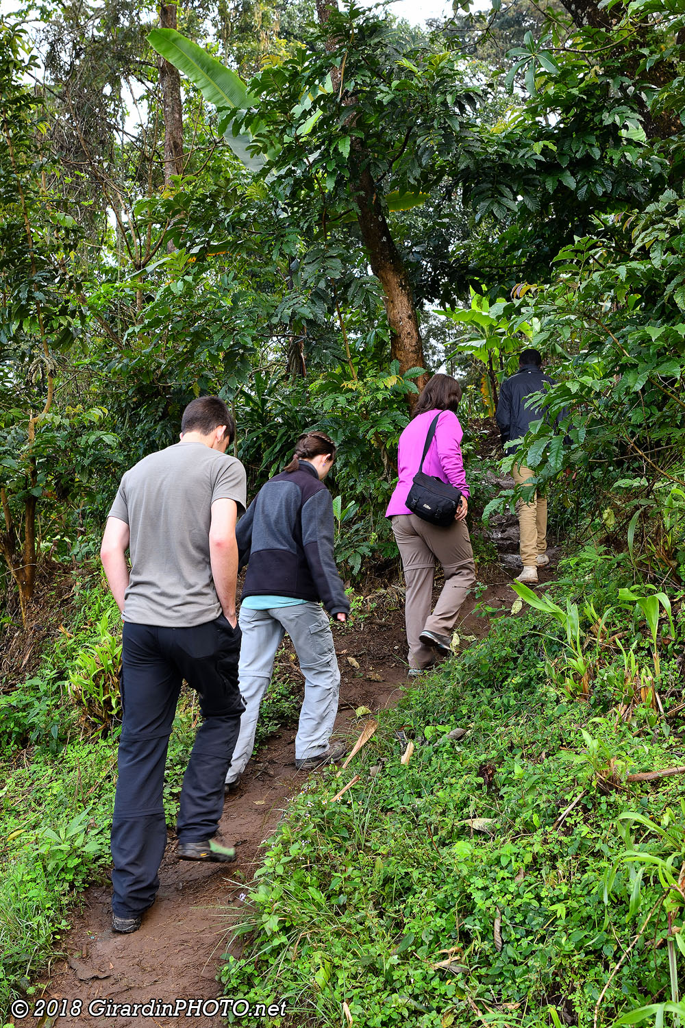 Coffee Tour