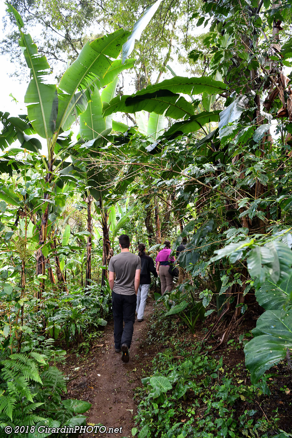 Coffee Tour