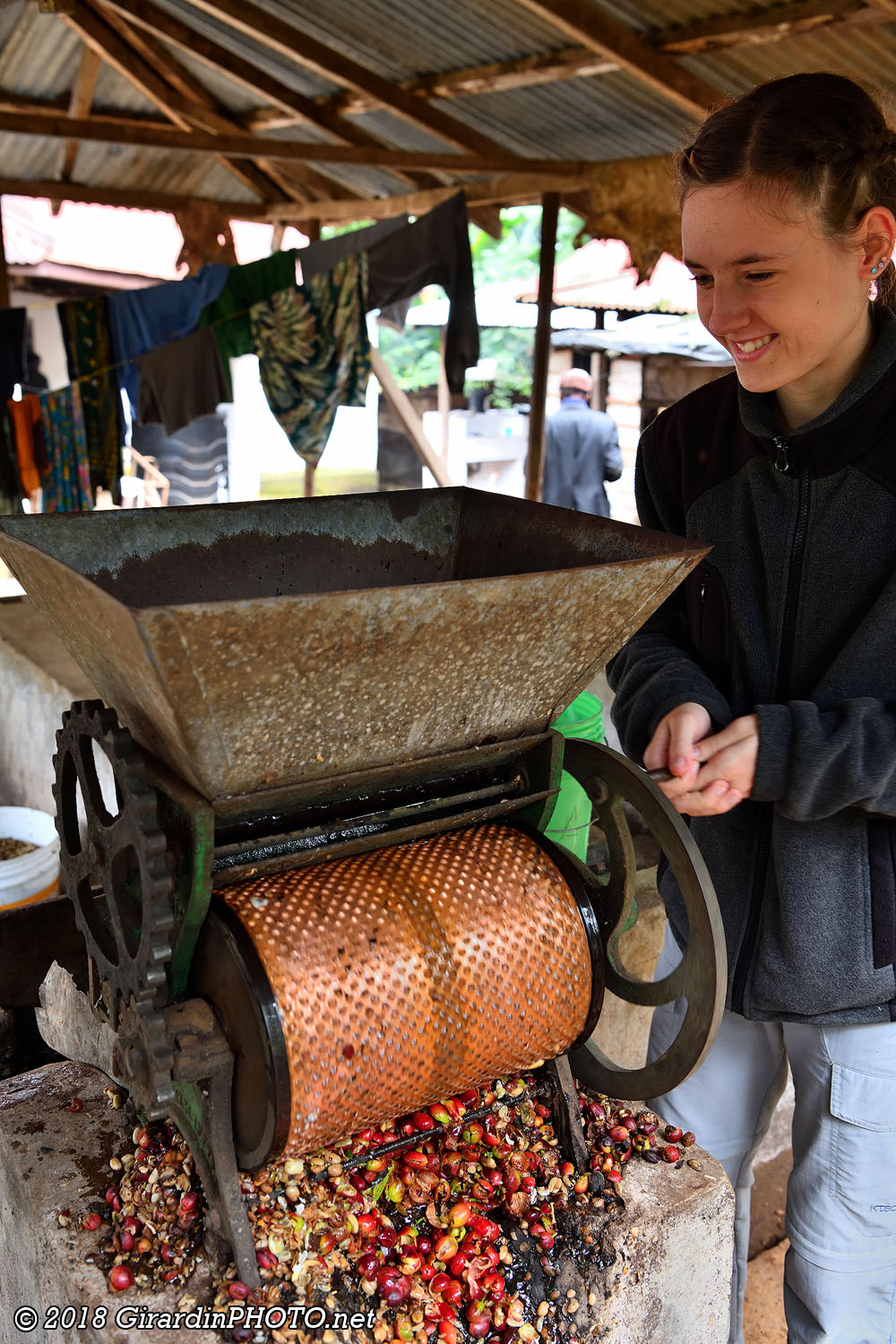 Dépulpage des cerises de café