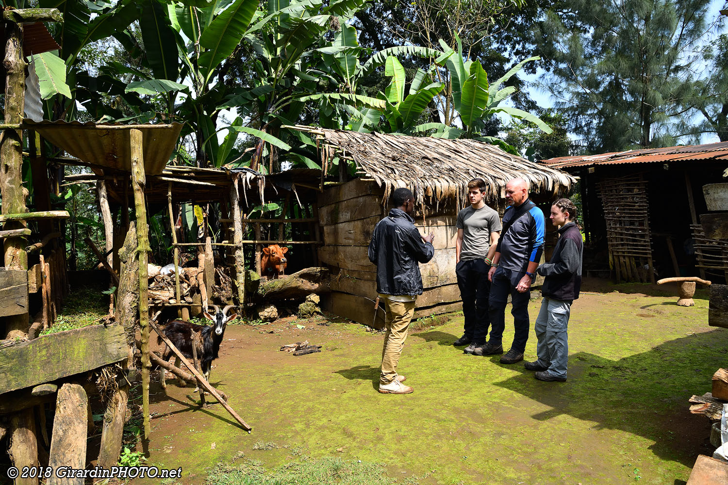 Habitation traditionnelle