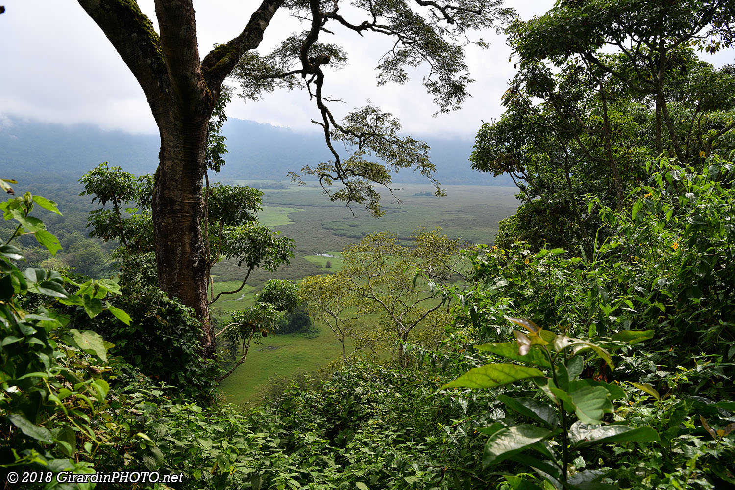 Rhino View Point