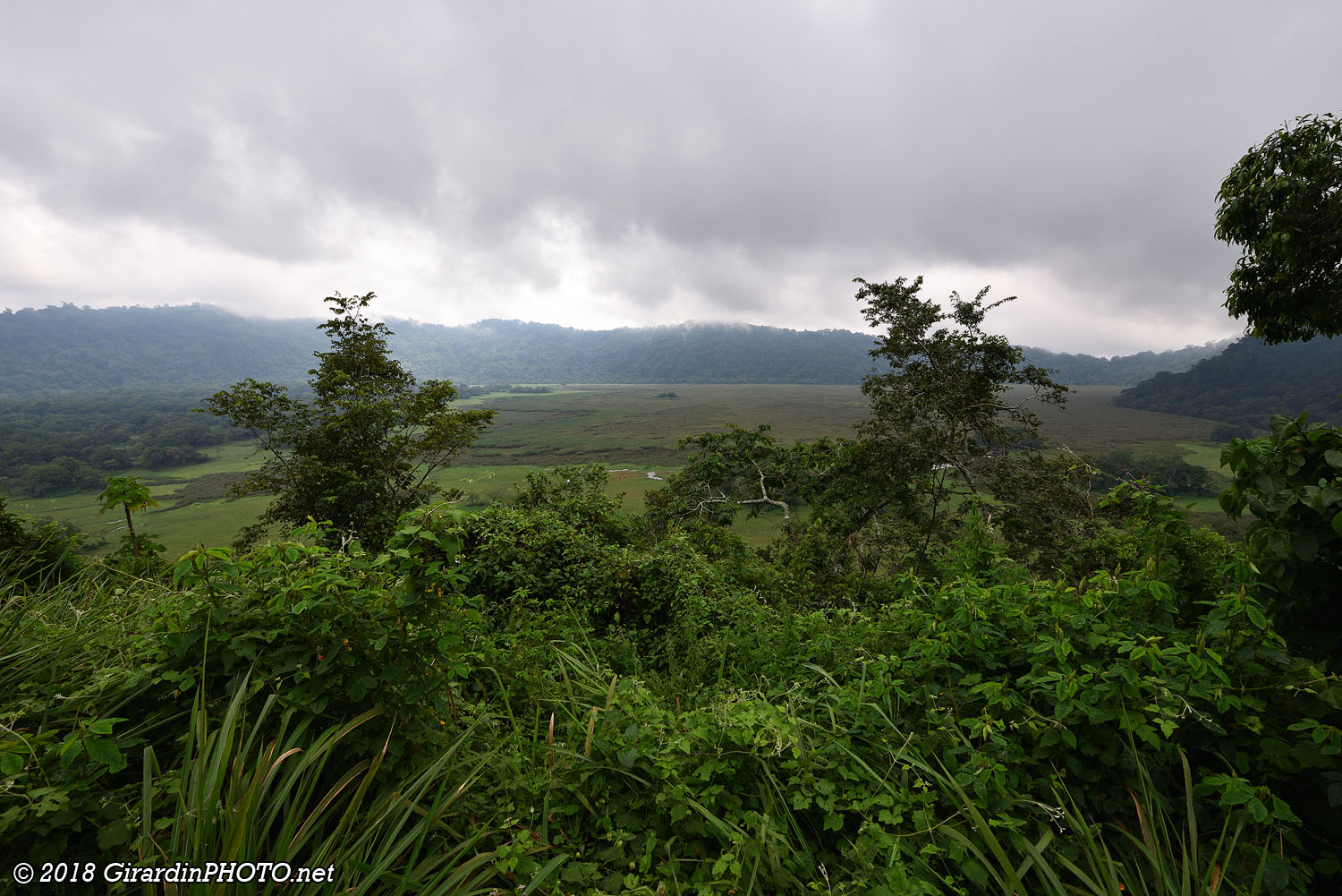 Vue sur le Ngurdoto Crater depuis Buffalo Point