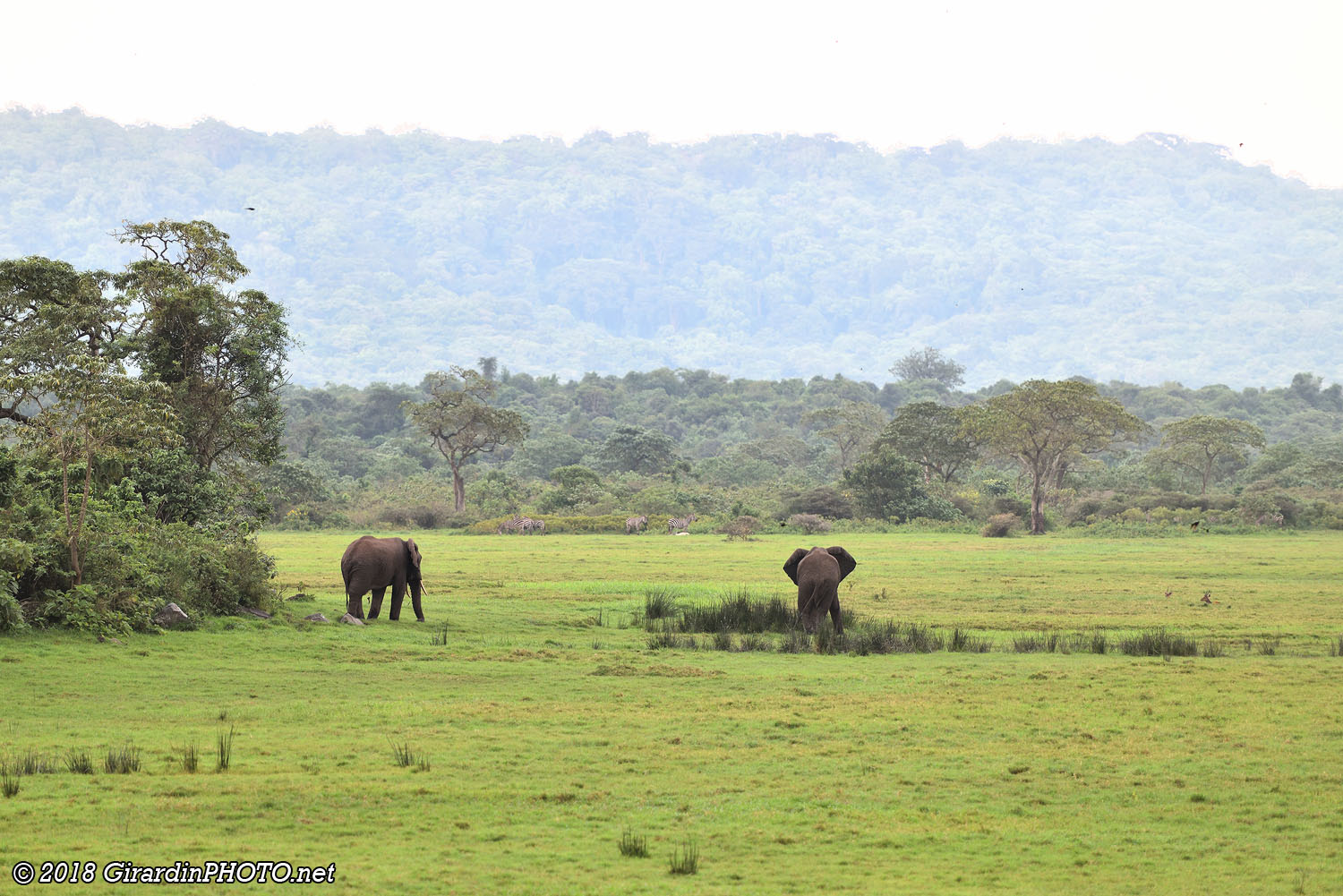 Litte Serengeti Plain