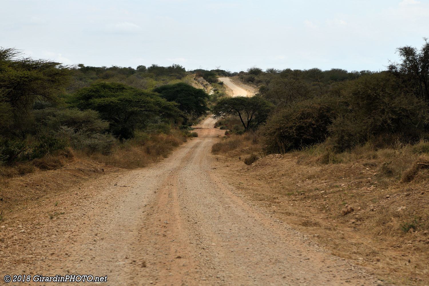 Piste pour atteindre le Lake Natron